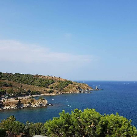 Profitez De La Vue ! Apartment Banyuls-sur-Mer Ngoại thất bức ảnh